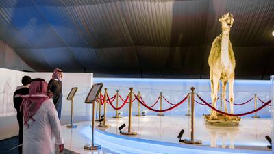 Visitors look at a stuffed camel in the Camel Museum. Maxime Fossat for The National