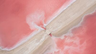 Second Place, Water, Nick Leopold Sordo, Mexico. Pink water lagoons in Las Coloradas salt mines in Yucatan.