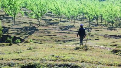 A morning scene at the Chitlang Organic Village Resort, Nepal. Afshan Ahmed / The National