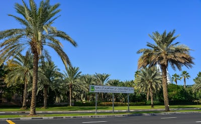 The metropolises of the future will be better connected with contiguous, integrated street-life, and shaded walkways.