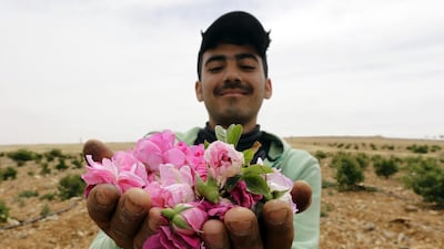 The damask rose, grows naturally in May, but can be grown throughout the year.