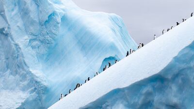 'The Twelfth Expedition of the Schooner Tara' by Maeva Bardy. Photo: Maeva Bardy / The Tara Ocean Foundation, with the participation of 'Le Figaro Magazine'