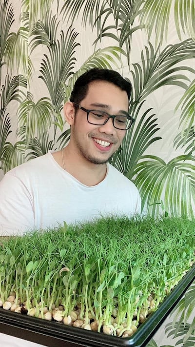 Jay Menorca began growing immunity-boosting micro-greens when his housemate tested positive for Covid-19.