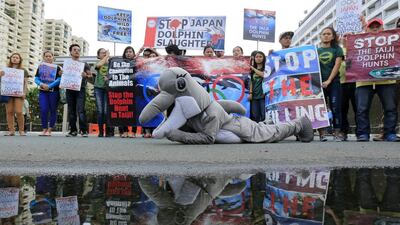 Animal rights activists protest against dolphin slaughter in front of the Japanese embassy in Pasay city, south of Manila, Philippines. Activists protesteted against Japan’s dolphin drive hunt which annually starts in September in Taiji, Japan. Eugenio Loreto / EPA