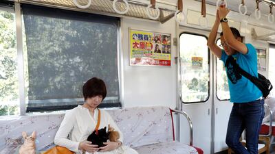 A passenger holds a cat in a train cat cafe. Kim Kyung-Hoon / Reuters