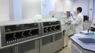 Staff work on the immunology unit of Al Borg Medical Laboratories in Abu Dhabi. Irene García León for The National