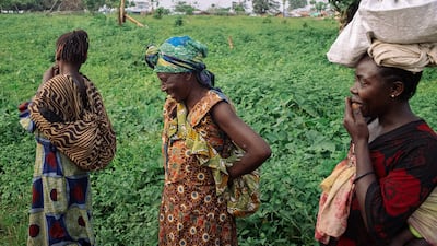 Cocoa farmers return from the fields in Kididiwe, North Kivu, in the east of the Democratic Republic of Congo. AFP