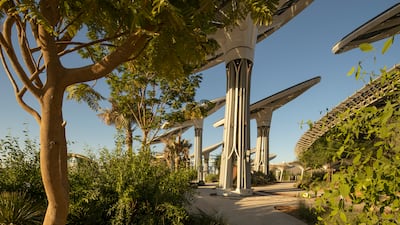 Elisa Ruggeri was involved in the construction of 17 pavilions at Expo 2020 Dubai, including the creation of the software behind the Energy Trees at Terra - The Sustainability Pavilion. Photo: Expo 2020 Dubai