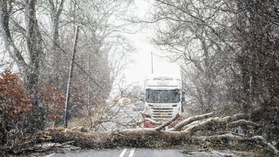 A fallen tree blocks the A702 road near Coulter in South Lanarkshire. PA