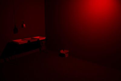 Vikram Divecha's 'Gallery 354' (2019). April Morais / Courtesy the artitst and Gallery Isabelle van den Eynde