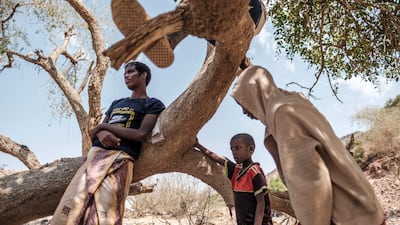 The World Food Programme this week issued a warning that they will run out of food for Ethiopian refugees by October. AFP