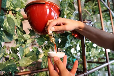 A guest tries flavoured olive oil at Grand Beirut. Pawan Singh / The National