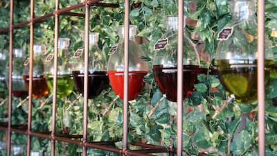 Customers can try different olive oils and vinegars as they wait for their meal.