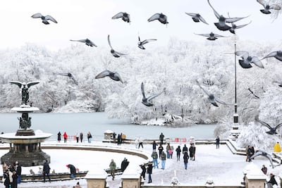 Snow in Central Park in Manhattan, New York City. AFP