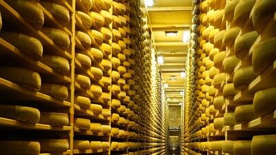 Maturing cheese. Courtesy Sopexa.