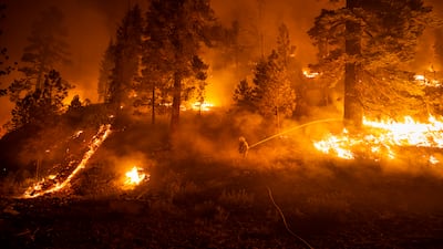 Firefighters with Cal Fire conduct an operation to contain the Dixie fire, south of Highway 44 in Lassen National Forest, in California, in August 2021.