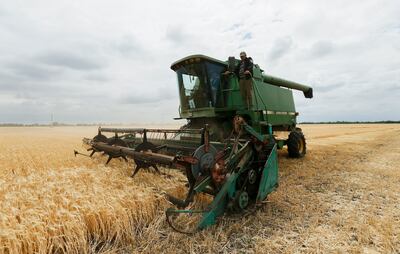 Ukrainian farmers say they may have to discard unused grain stocks if they are not exported soon. EPA