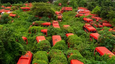 Plants grow over Brihanmumbai Electricity Supply and Transport mini-buses that were discontinued from service after BEST ended its partnership with the lease operator over unresolved issues, at a bus depot in Mumbai, India, on July 27. AP