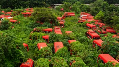 Plants grow over Brihanmumbai Electricity Supply and Transport mini-buses that were discontinued from service after BEST ended its partnership with the lease operator over unresolved issues, at a bus depot in Mumbai, India. AP