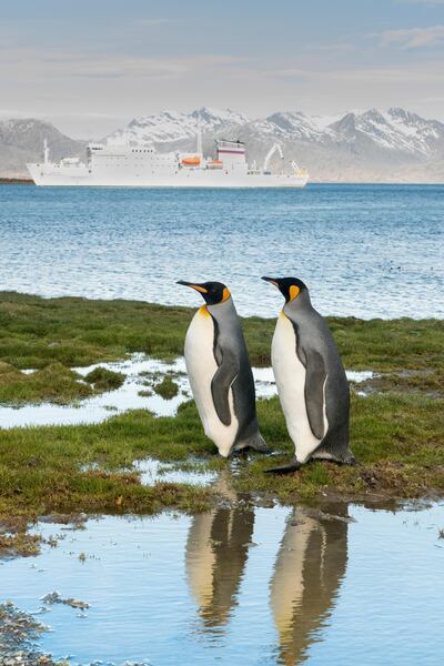 Courtesy Nick Walton