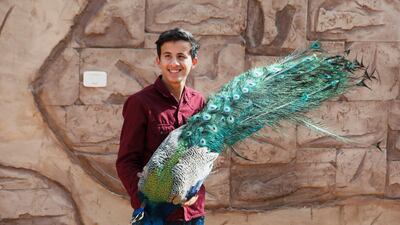 The Diab family has been raising and caring for wild animals and birds on their properties in Libya, for a couple of generations. Years of political upheaval have not deterred them from their work. In the Tajoura suburb of Tripoli, Jihad Diab holds one of the farm's peacocks. Reuters