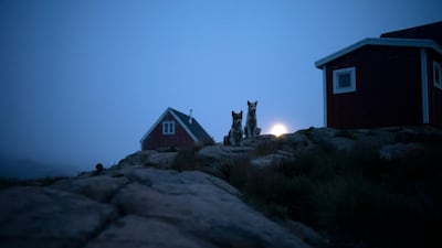 Dogs sit outside a home in Kulusuk. AP Photo