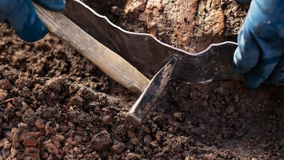 The restoration involved more than 80 people, including archaeologists, restorers, architects, engineers, surveyors and construction workers. Courtesy Tod’s Group