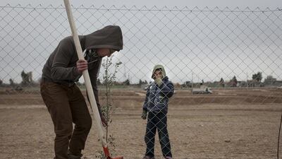 The Green Project, spearheaded by Rise Foundation volunteer Gaia de Battista, enabled the distribution of 150 olive and 100 mixed olive and fig saplings to refugee families. Courtesy Nils Henrik