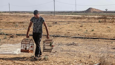 The birds are trapped to sell at a bird market in Khan Yunis.