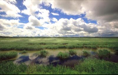 Siberia from the Golden Eagle.