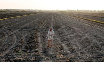 An Iraqi man stands on a dry field in an area affected by drought in the Mishkhab region, central Iraq. AFP / Haidar Hamdani