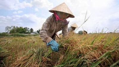 Gulf countries continue to import most of their food supplies and need to invest in farmland overseas to ensure sustainability.