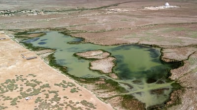 The drying marshes of Chibayish in Iraq's southern Dhi Qar province. AFP