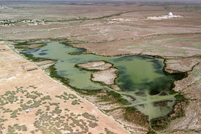 Marshes drying up in Chibayish in Iraq's southern Dhi Qar province in June. AFP