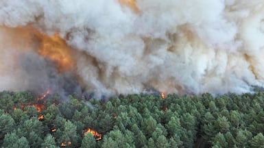 Smoke rises from a large blaze as it burns through forests in the Ile-de-France region, near Paris, on Sunday AFP