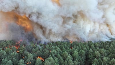 Smoke rises from a large blaze as it burns through forests in the Ile-de-France region, near Paris, on Sunday AFP