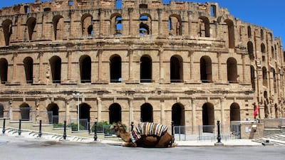 A camel owned by Fathi Bouzayan that usually gives rides to tourists, sits outside El Jem's amphitheatre. Tourist numbers have been hit by the coronavirus pandemic. Reuters