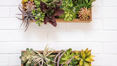 A vertical garden hangs on the walls of the cafe. Victor Besa / The National