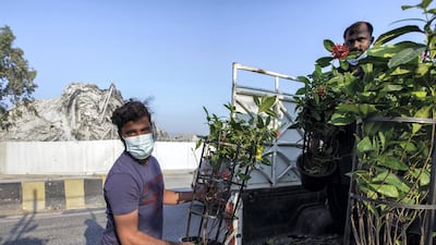 The Mina Plant Market is back to business after almost a week after the Mina Plaza demolition.