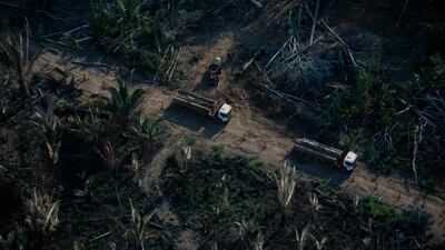 The Amazon basin has absorbed large amounts of carbon emissions, helping to stave off the nightmare of unchecked climate change. AFP