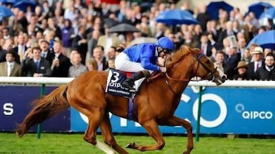 Godolphin's Dawn Approach, above, will battle Sheikh Joaan bin Hamad's Toronado on Wednesday. Alan Crowhurst / Getty Images