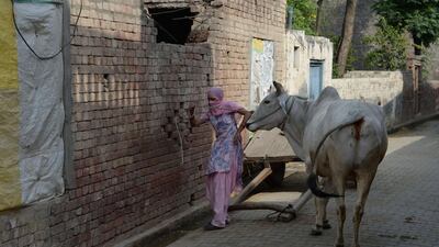 With female infanticide rampant because of a preference for boys, eligible women were in short supply. Sajjad Hussain/ AFP Photo