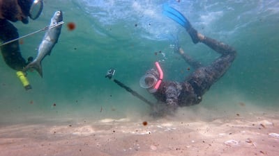 Photographer Mohammed Asad dives under the water with Palestinian spear-fisherman in the Mediterranean Sea off the coast of the southern Gaza Strip. Reuters