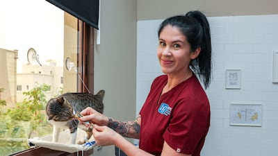 Nora Shackleford at the German Veterinary Clinic in Khalifa City, Abu Dhabi. Victor Besa / The National