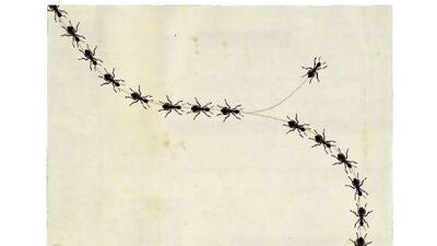 Pep Montserrat for The National