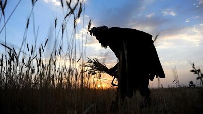 Canadian social entrepreneur Barb Stegemann encouraged Afghan farmers to give up growing illegal poppy crops. Farshad Usyan / AFP