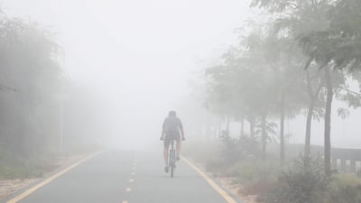 Cyclists on Al Qudra cycle track during heavy fog in Dubai. Chris Whiteoak / The National