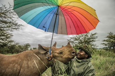 One of the works featured in previous Xposure festivals. Titled 'Kamara and Kilifi', the image shows Kamara nuzzled by black rhino Kilifi at the Lewa Wildlife Conservancy in Kenya. Photo: Ami Vitale