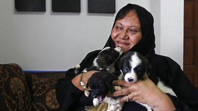 Amirah William is hopeful that she will soon be able to find a new rescue centre in UAQ for all of her 160 dogs. Jeffrey E Biteng / The National