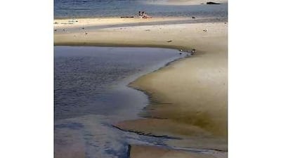A beach on Dauphin Island, Alabama, is streaked with oil.